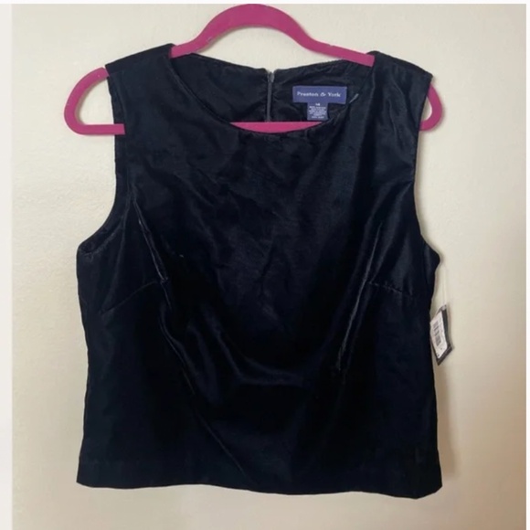 Velvet Modern Minimalist Chic Glam Romantic Classy Boxy Party Elegant Blouse - Picture 1 of 5